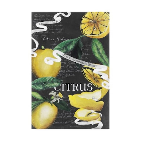 Grace Popp 'Chalkboard Citrus Ii' Canvas Art,16x24